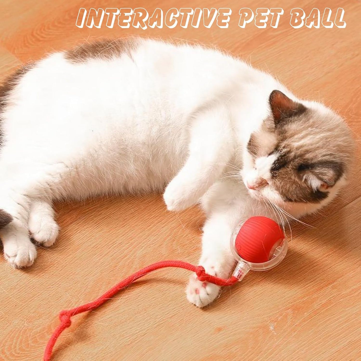 Pet Dance Ball
