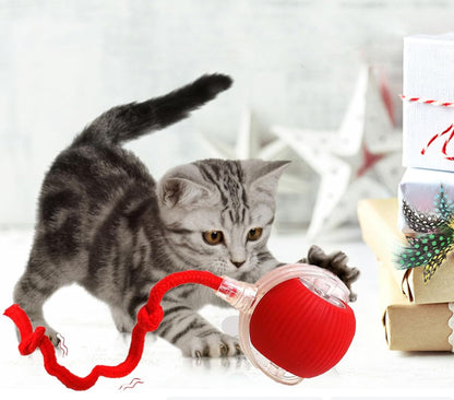 Pet Dance Ball