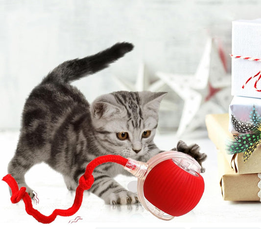 Pet Dance Ball