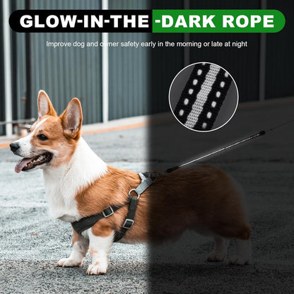 Dog Leash 5M
