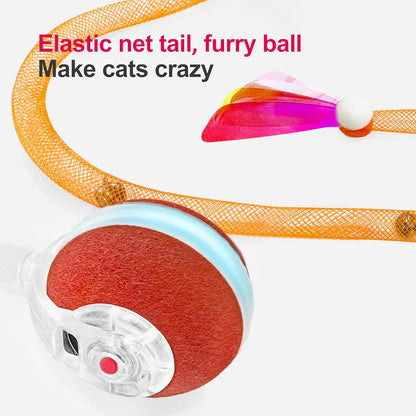 Pet Dance Ball