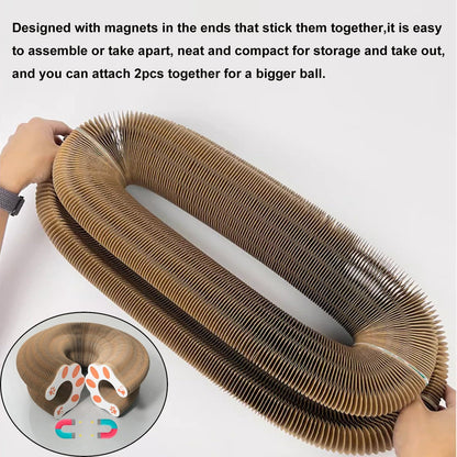 Cat Scratching Board