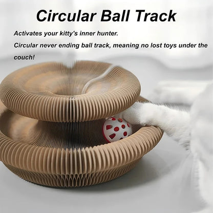 Cat Scratching Board